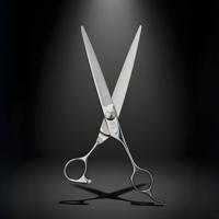Juntetsu Mastersmith 7.0" cutting and texturising scissor set
