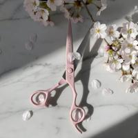 Ichiro Pastel Pink Hair Cutting SAKURA Flower Scissors From Tokyo Japan (SKU: ICH-PNK-M5050 ICH-PNK-C50 ICH-PNK-S50)