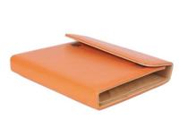 Ten-place leather scissor case with removable divider