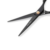 Ichiro Ash Gold cutting and thinning scissor set