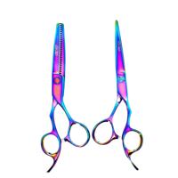 Ichiro Rainbow Hairdressing Scissor Set (SKU: ICH-RNB-S50)