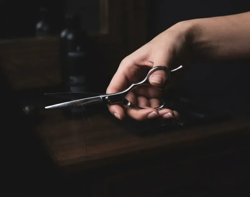 How to Diagnose and Recover Dull Japanese Shears