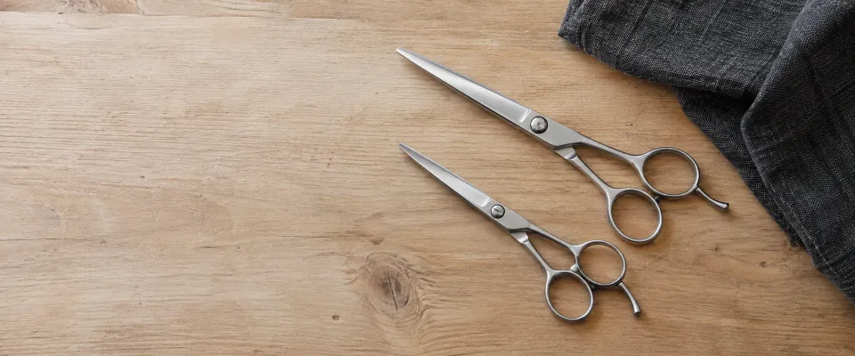Two closed steel hair-cutting shears on pale wood beside a charcoal cloth.
