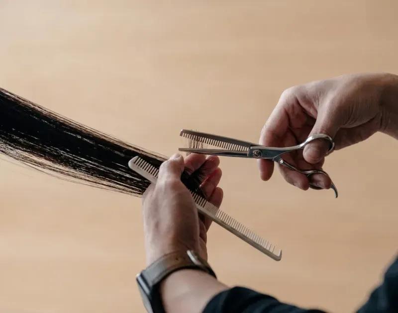 Powder Damascus Shears Worth Your Attention