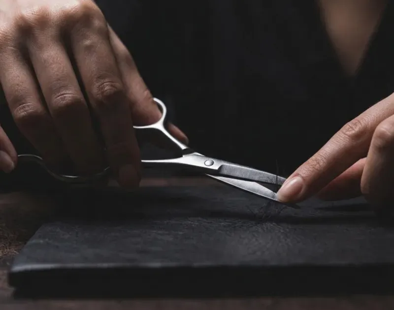 ZA-18 Shear Spotlight: Professional Kits Worth Considering
